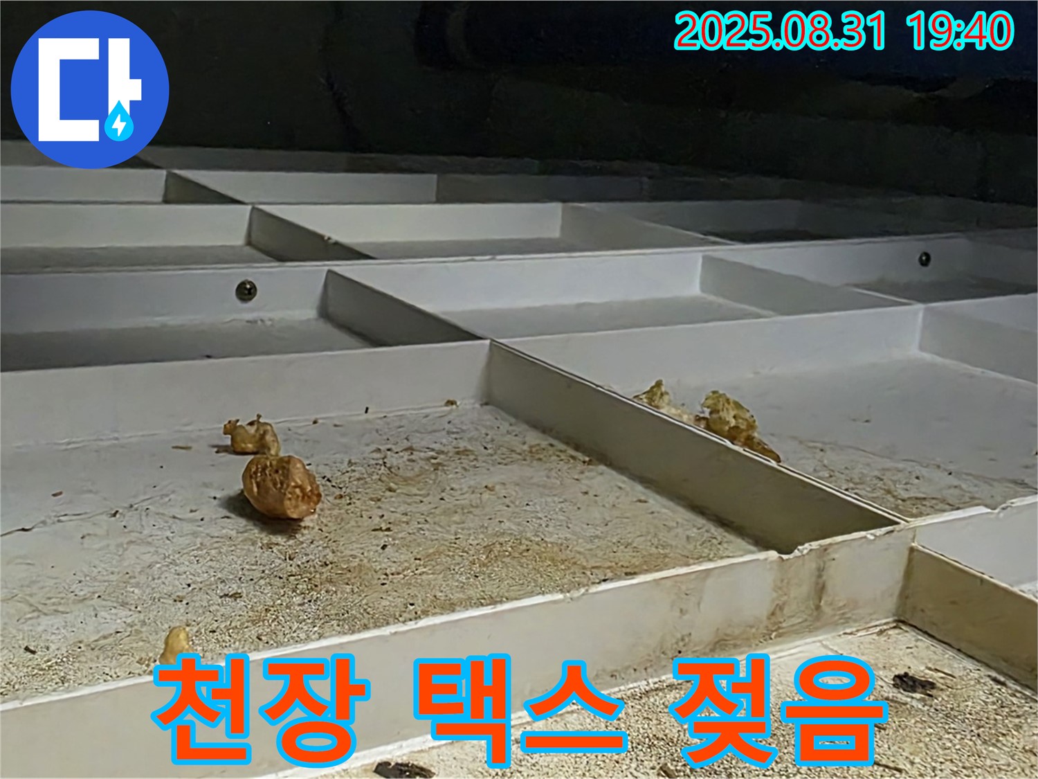 분당 구미동 누수 - 천장 택스 젖음으로 누수 발생 확인