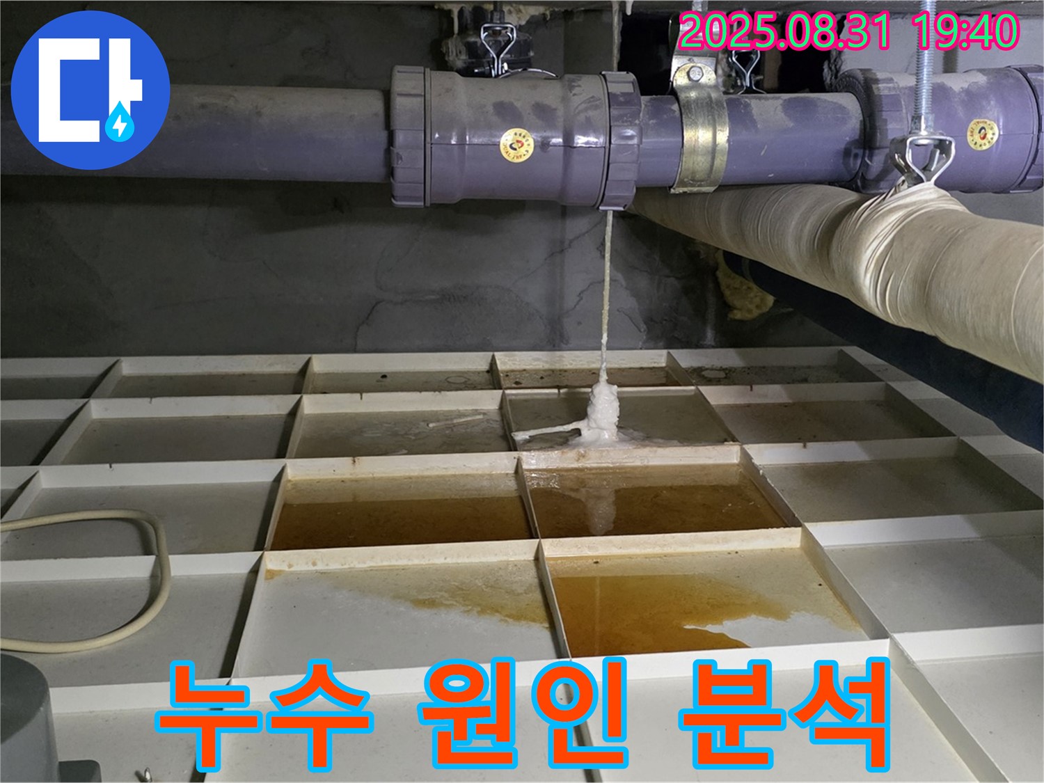 분당 구미동 누수 현장 - 누수 원인 꼼꼼하게 분석
