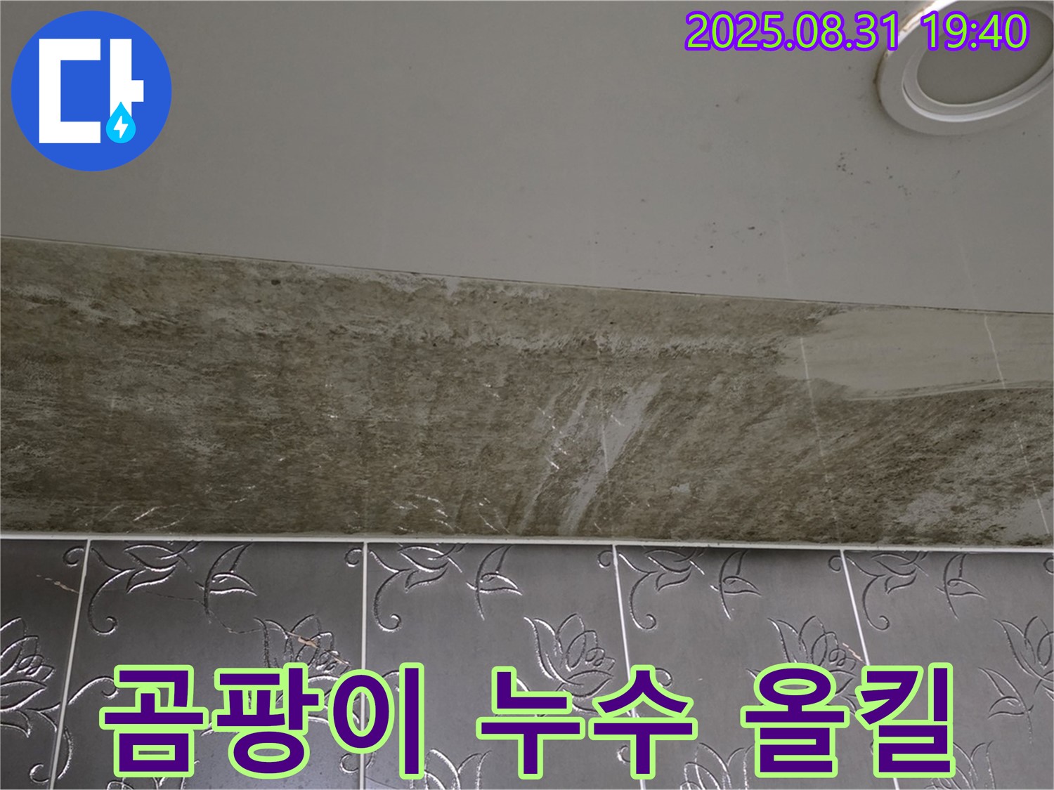 분당 구미동 욕실 천장 누수 - 곰팡이 문제까지 완벽하게 해결!