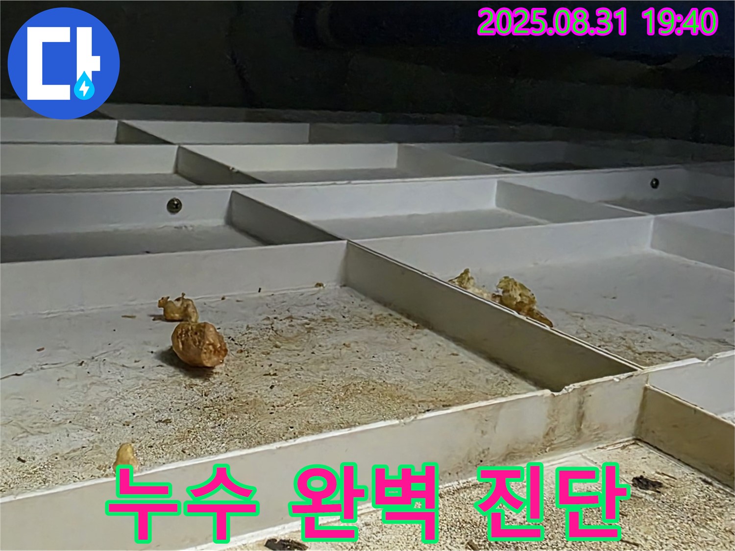 분당 누수 - 산운로 누수 문제 완벽 진단 과정