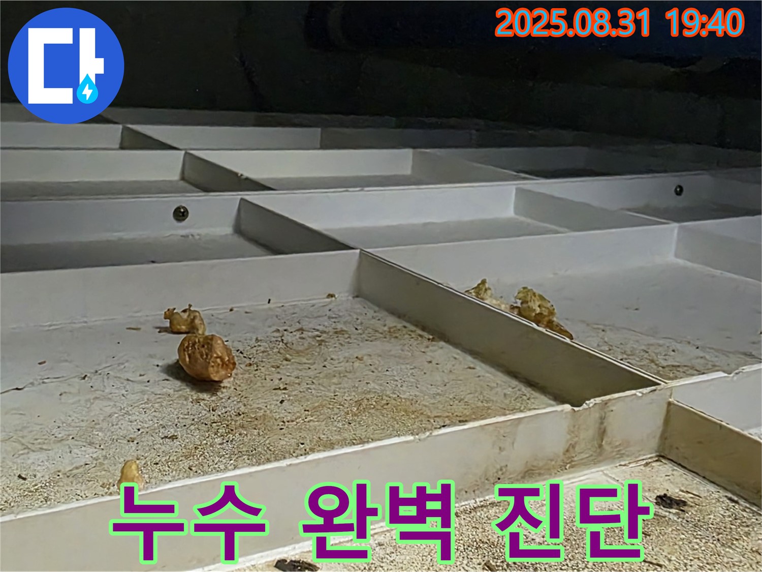 분당 누수 - 정자동 누수 문제 완벽 진단 과정