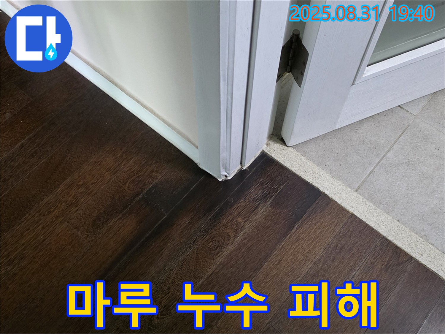 분당 마루 누수 피해 - 마루 변색 및 곰팡이 발생