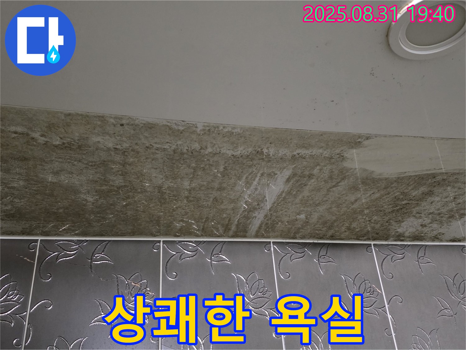 분당 백현동 욕실 천장 누수 - 곰팡이 OUT! 상쾌한 욕실로 변신!