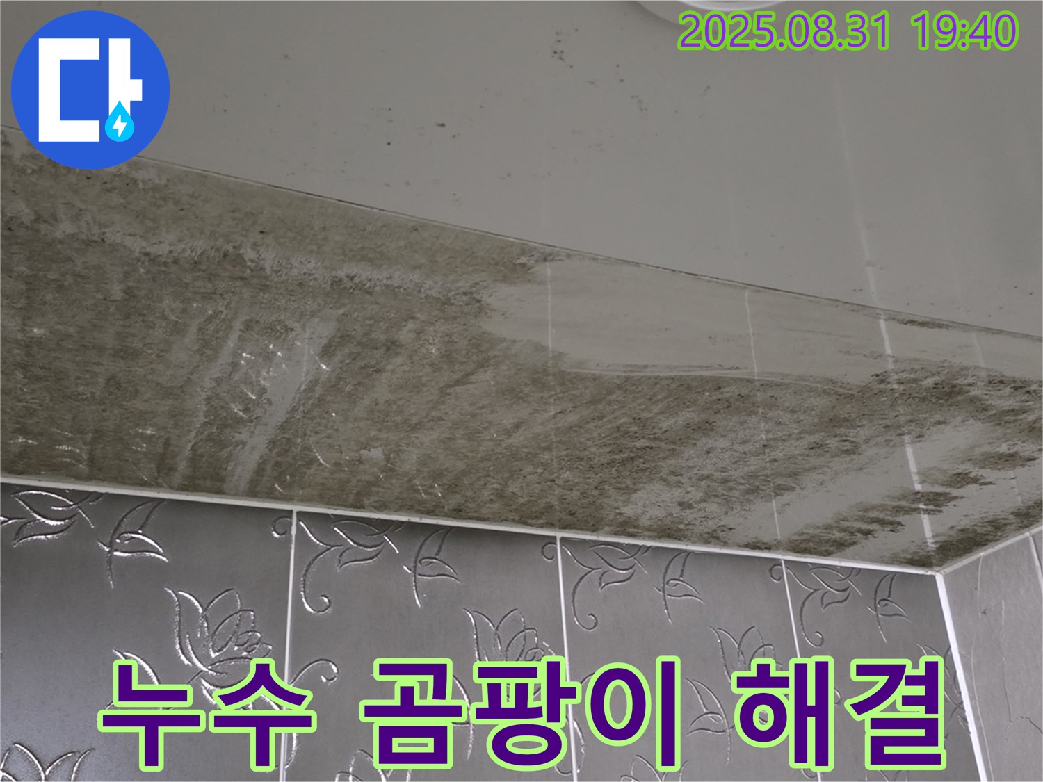 분당 산운동 욕실 천장 - 곰팡이로 뒤덮인 심각한 누수 현장