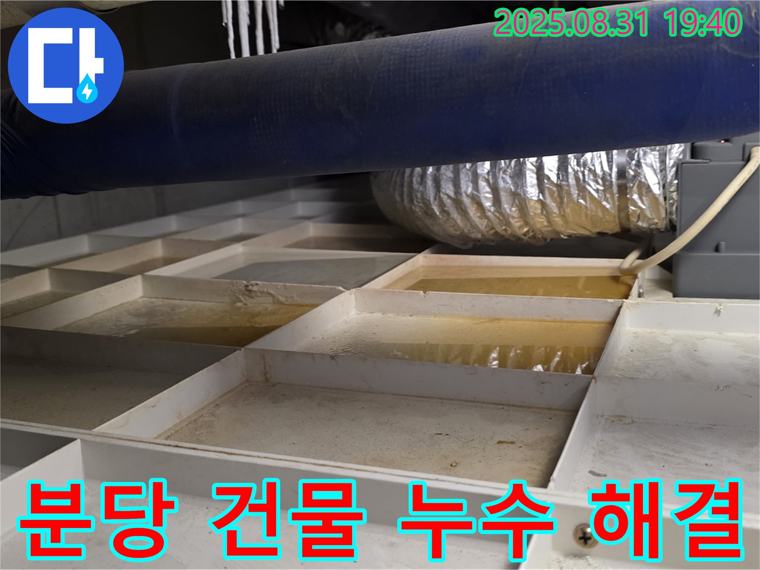 분당 산운로 건물 누수 - 완벽한 누수 해결 약속