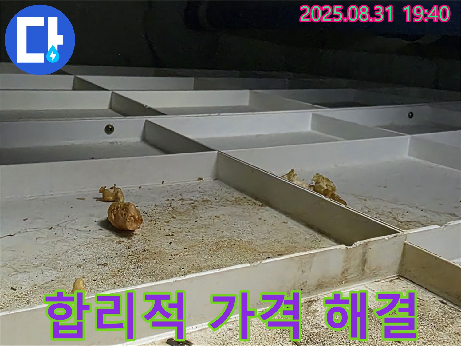 분당 산운로 누수 - 합리적인 가격으로 누수 문제 완벽 해결