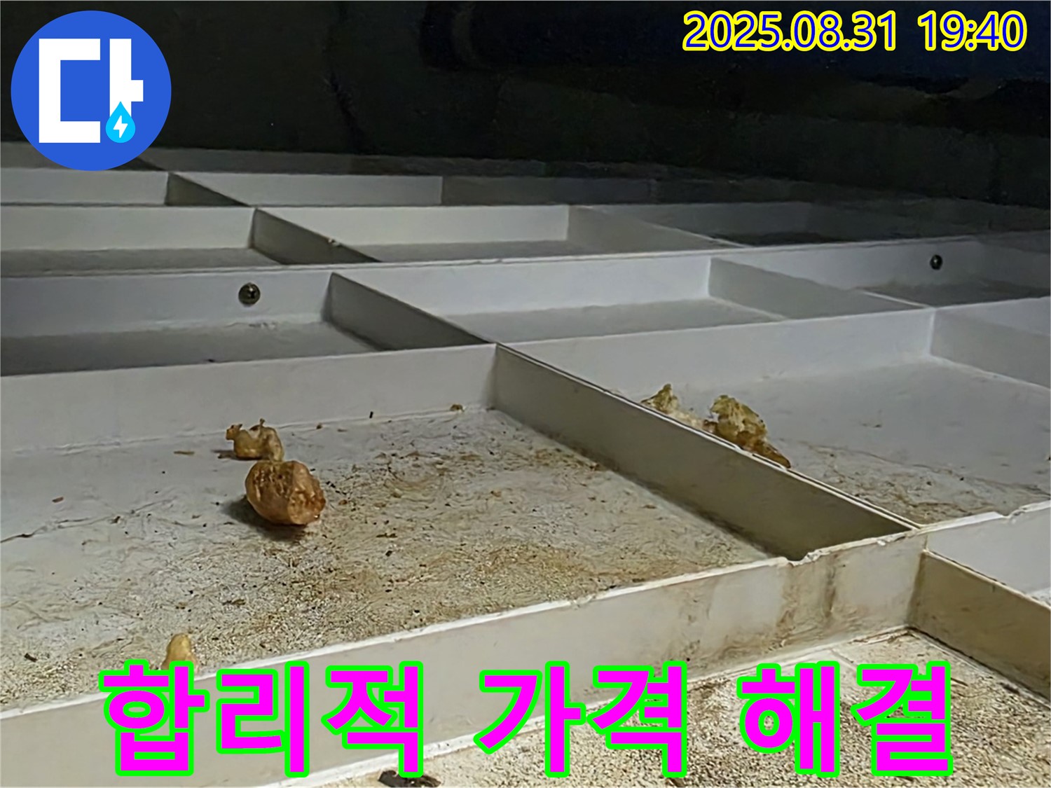 분당 산운로 누수 - 합리적인 가격으로 누수 문제 완벽 해결
