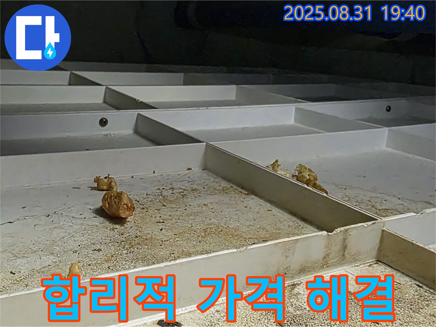 분당 산운로 누수 - 합리적인 가격으로 누수 문제 완벽 해결