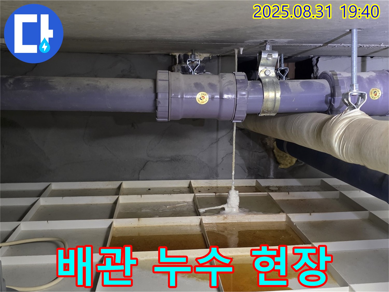 분당 산운로 누수 현장 - 천장 배관에서 누수가 발생하여 긴급 점검 및 보수 진행