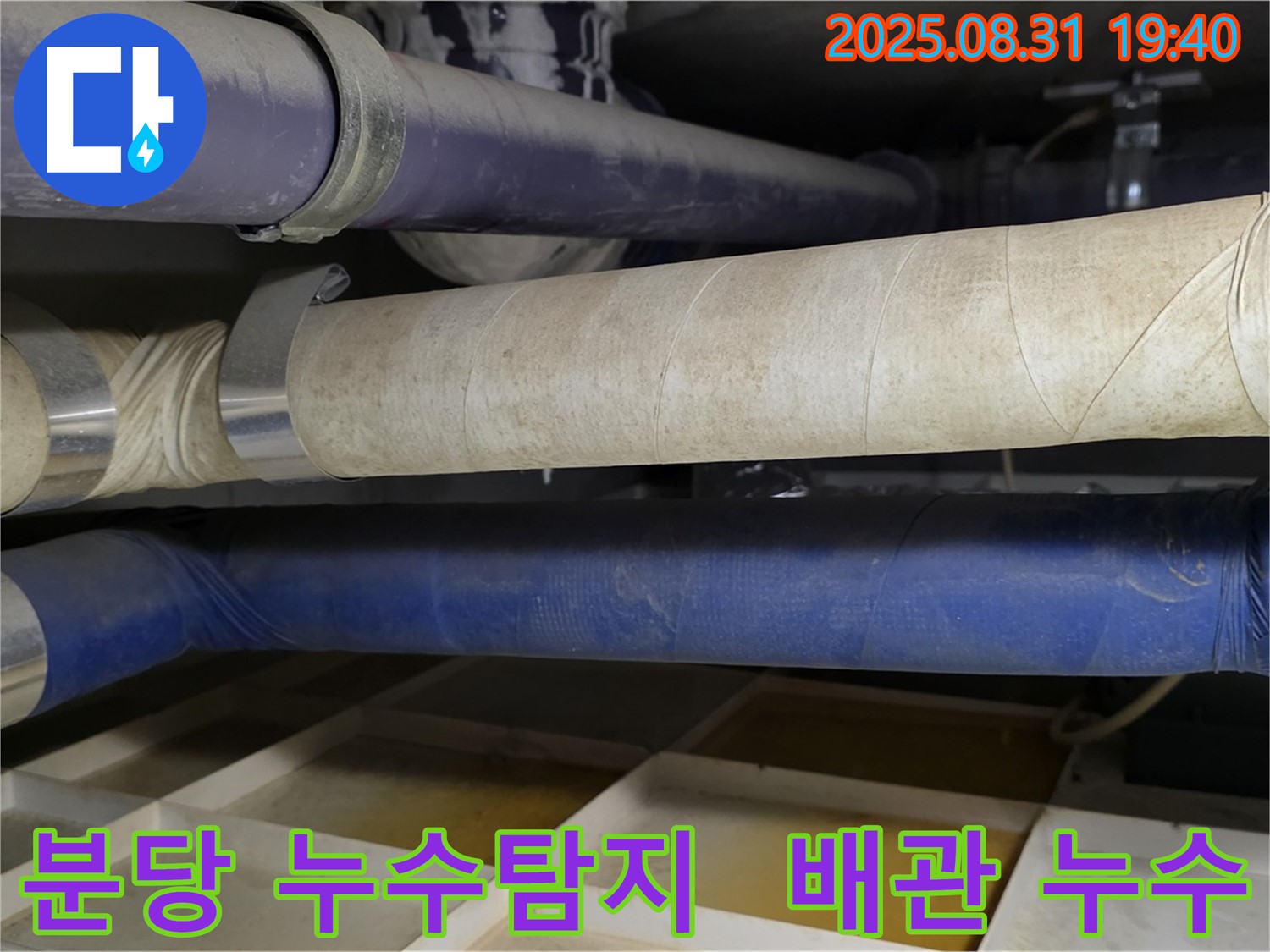 분당 산운로 주택 누수 - 노후 배관 점검 및 누수 탐지 과정