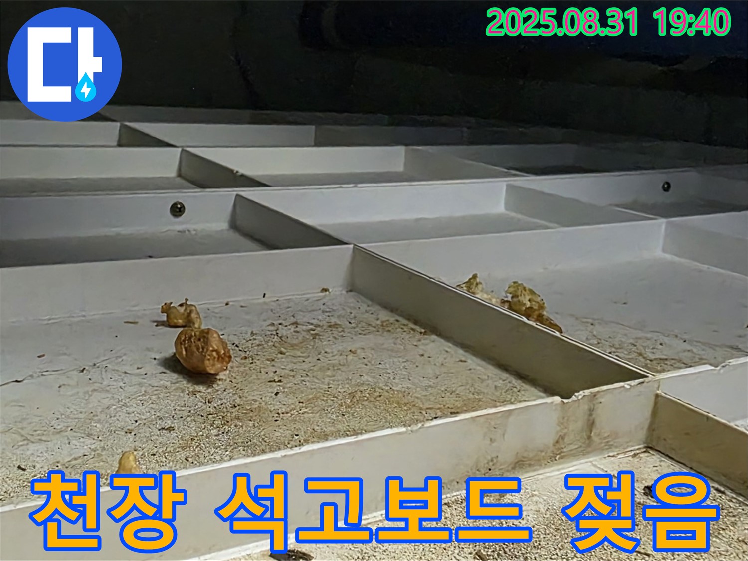 분당 산운로 주택 누수 - 천장 석고보드 젖음 상태 확인