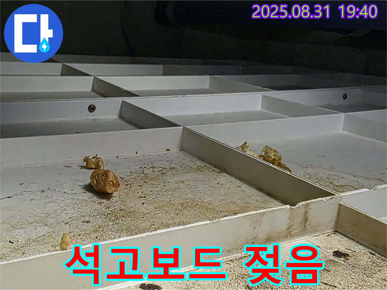 분당 산운로 천장 누수 - 석고보드 젖음 상태 긴급 점검