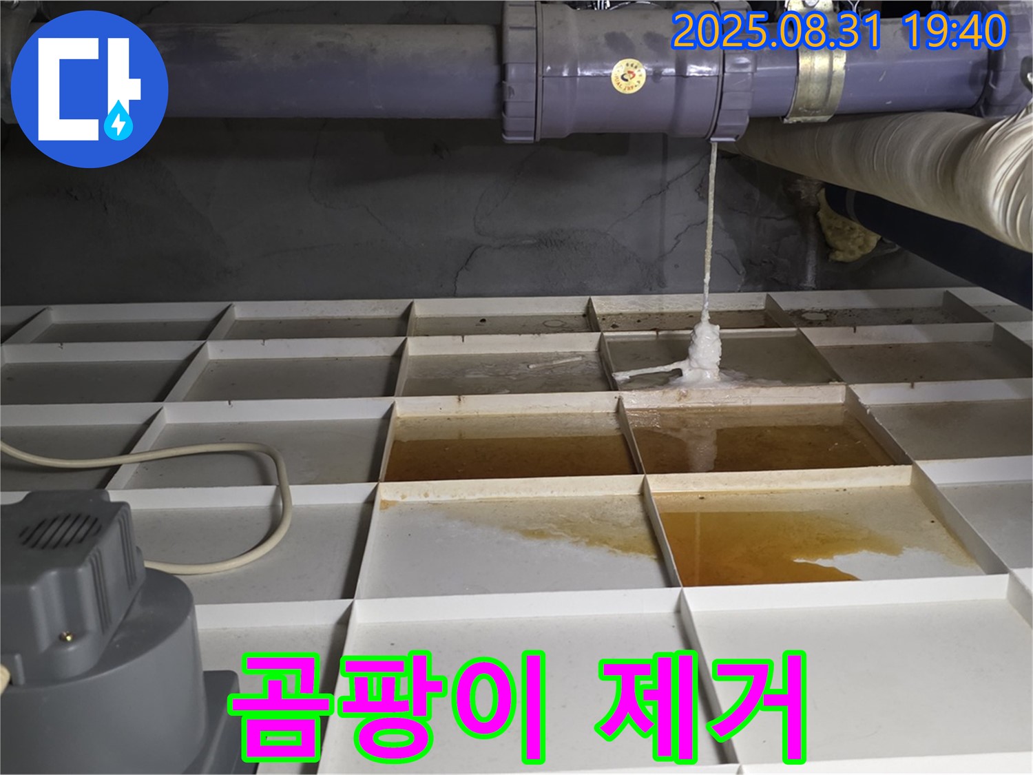 분당 삼평동 누수 - 누수 해결, 곰팡이 걱정 이제 그만!