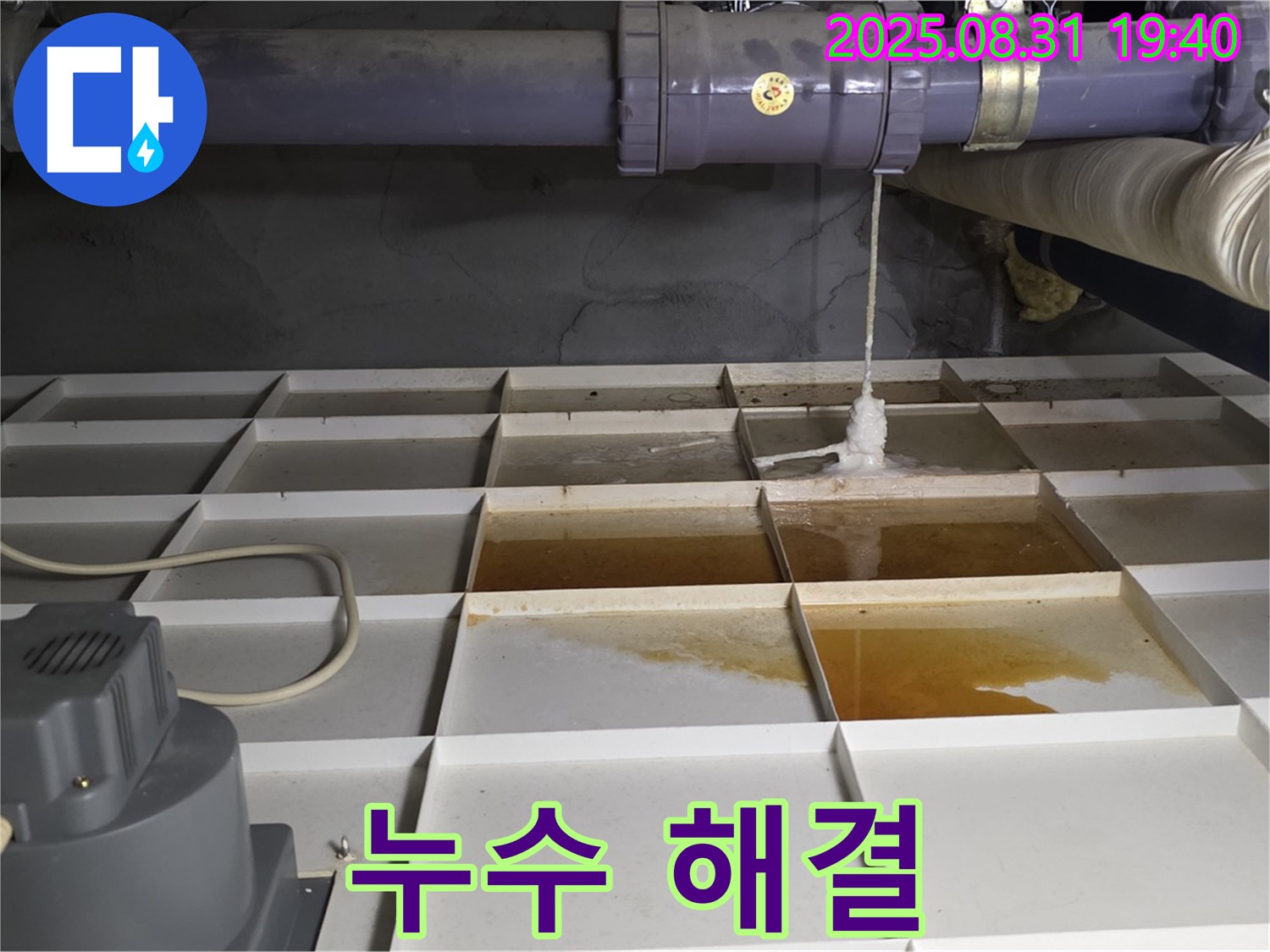 분당 석운동 누수 - 누수 해결 완료, 쾌적한 보금자리 되찾기!