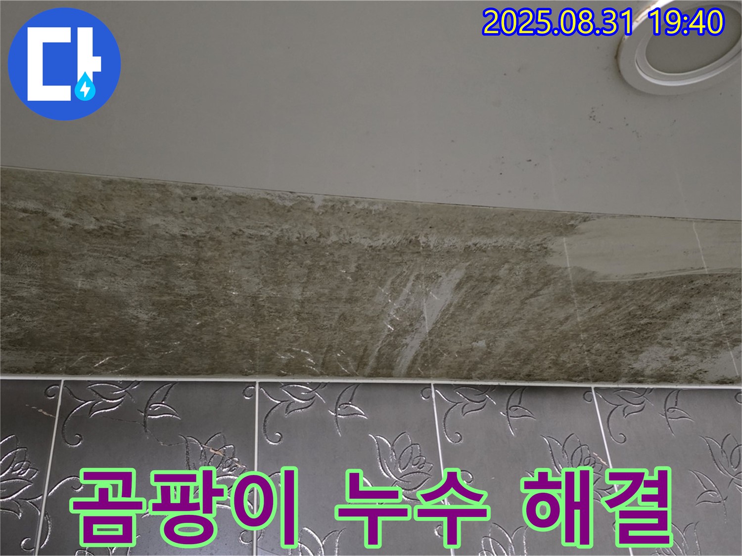 분당 운중동 욕실 천장 누수 - 곰팡이 문제까지 완벽하게 해결!