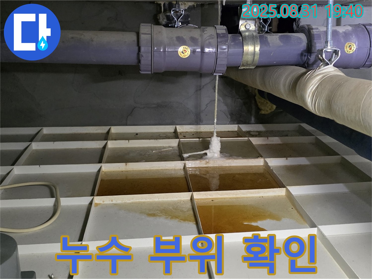 분당 이매동 누수 현장 - 누수 부위 꼼꼼하게 확인 중