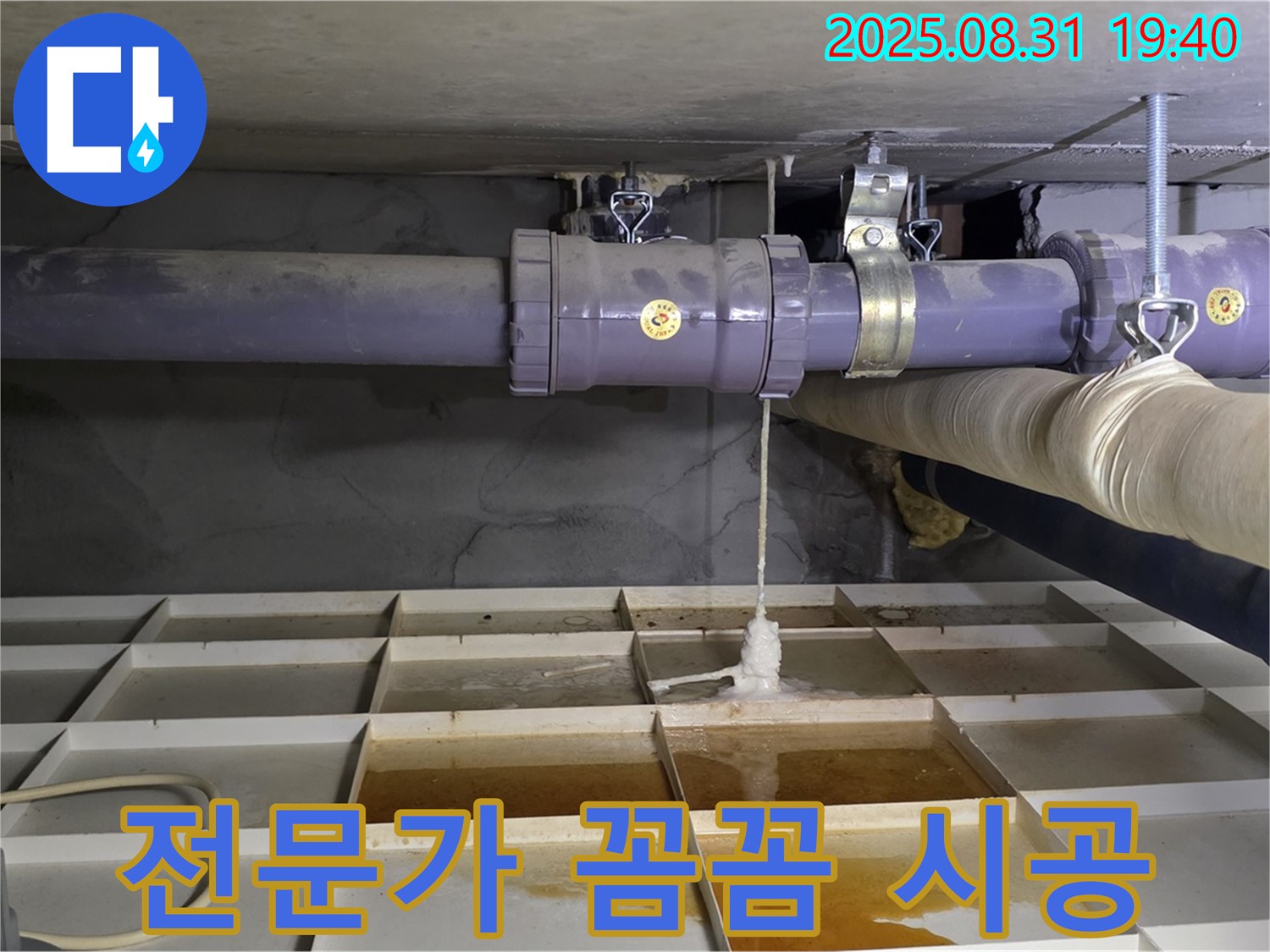 분당 정자동 누수 - 누수 전문가의 꼼꼼한 진단과 완벽 시공