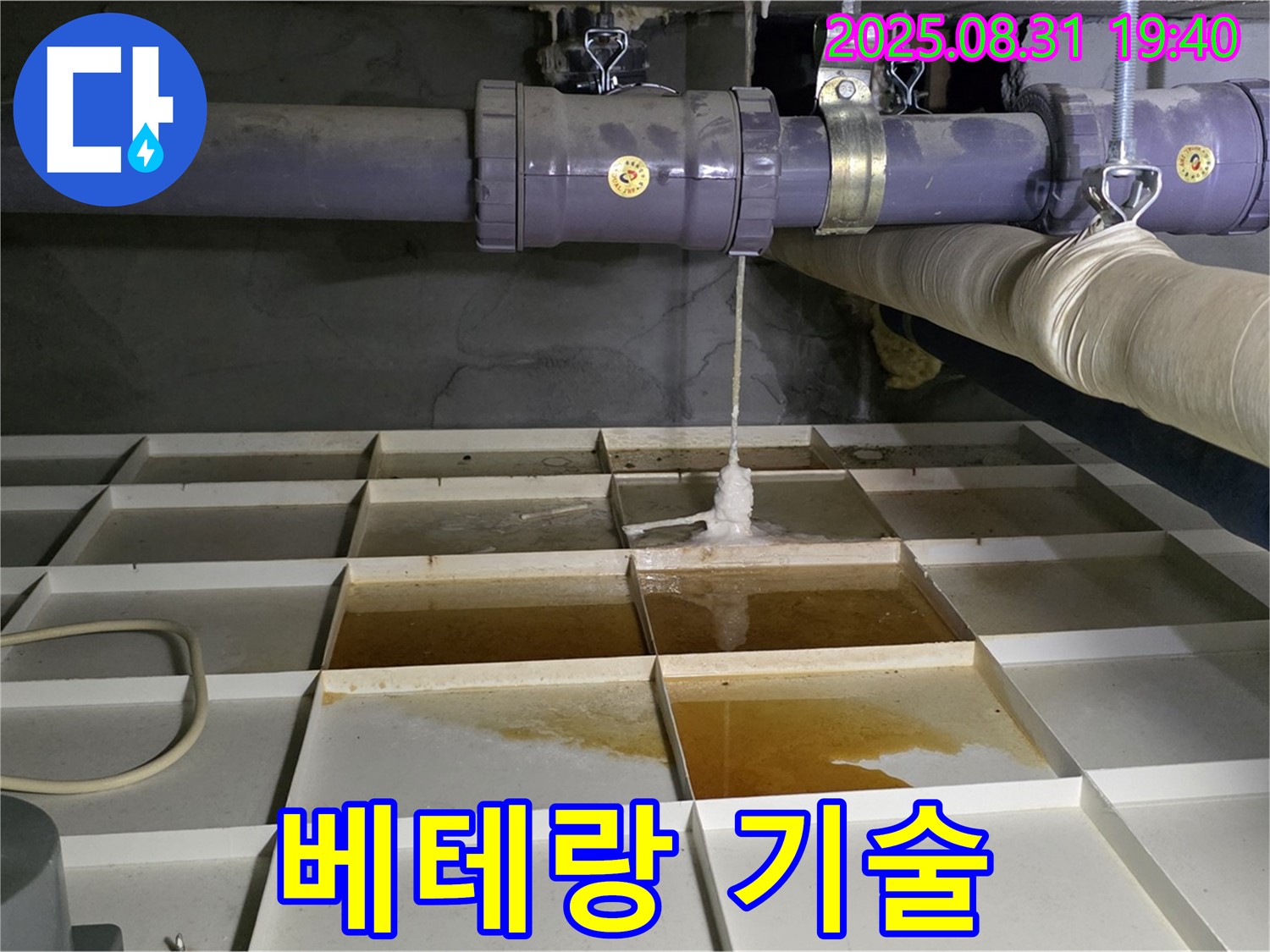 분당 정자동 누수 - 베테랑 기술자의 완벽한 누수 해결