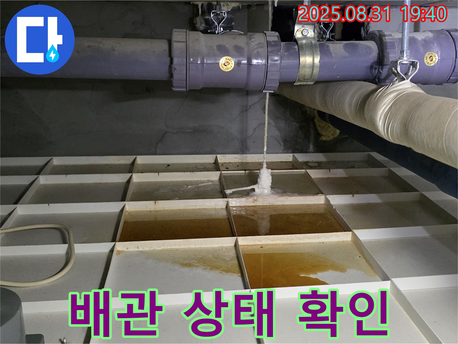 분당 정자동 누수 현장 - 배관 상태 꼼꼼하게 확인