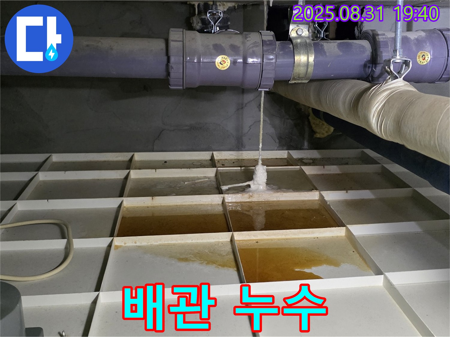 분당 정자동 누수 현장 - 배관에서 누수가 발생한 모습