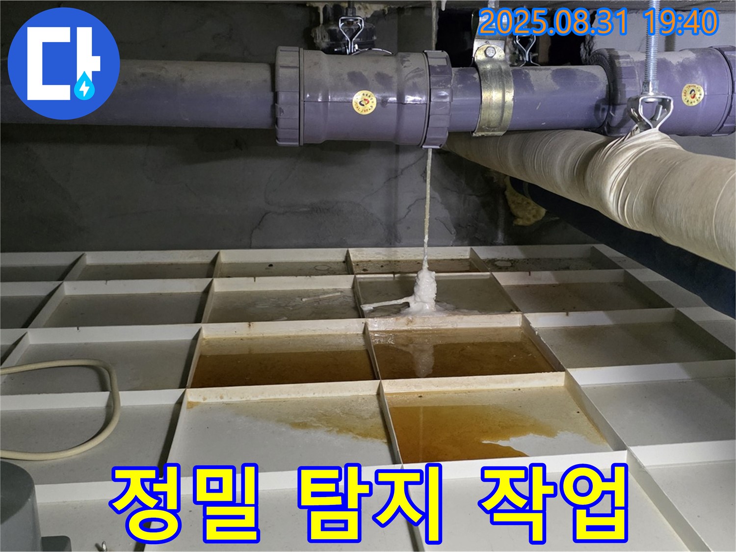 분당 정자동 누수 현장 - 정밀 탐지 작업 진행 중