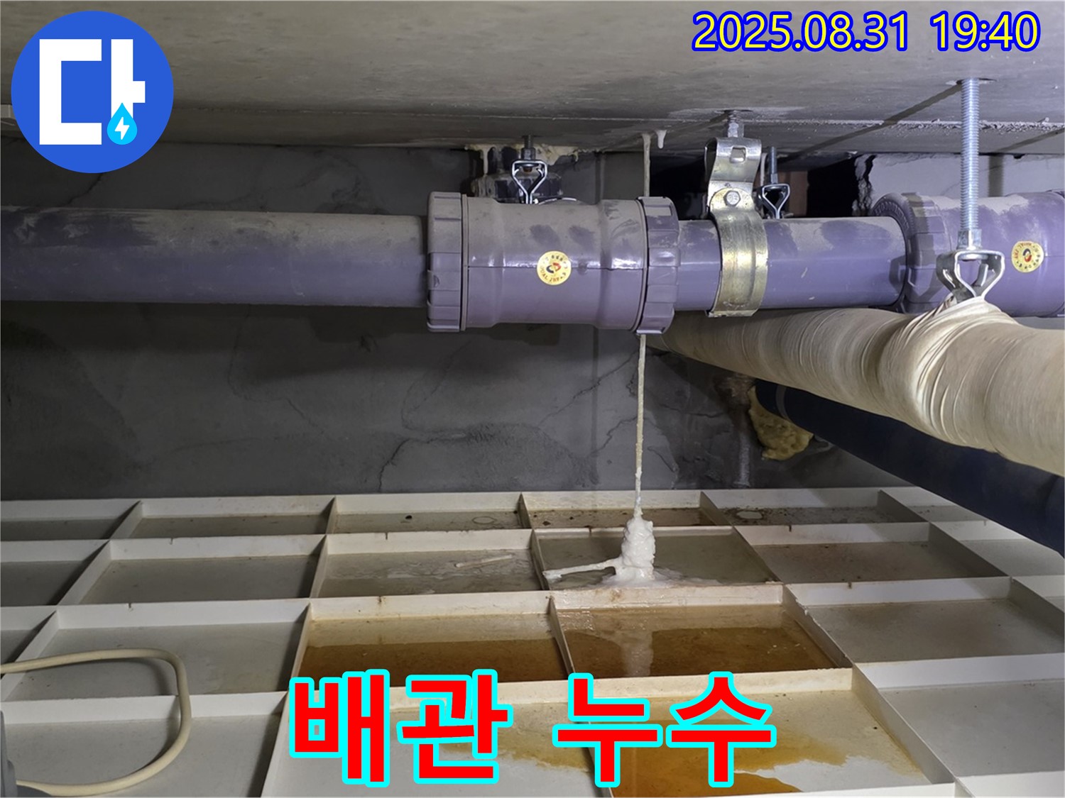 분당 정자동 배관 누수 - 긴급 누수탐지 후 신속하게 해결