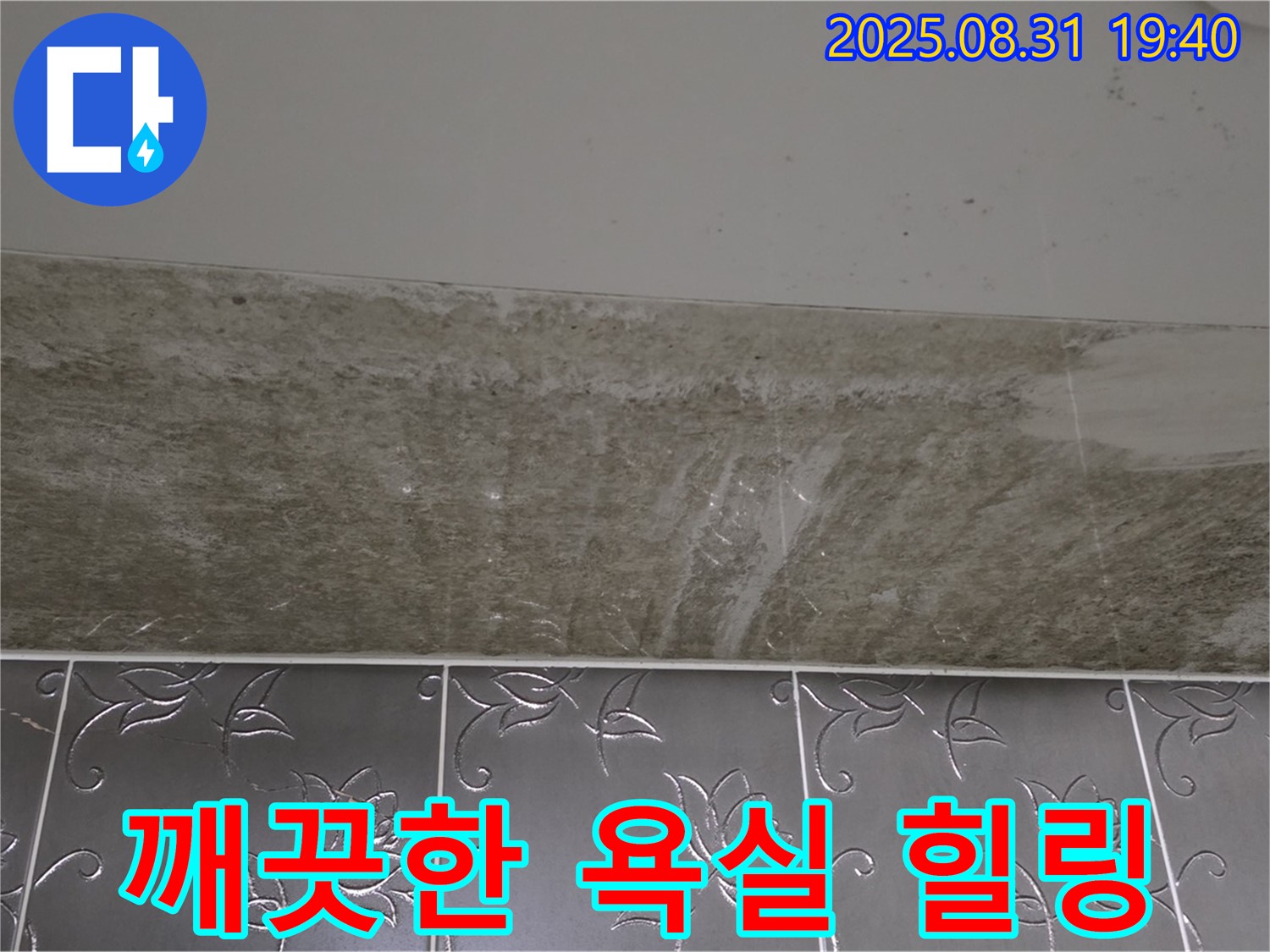 분당 정자동 욕실 곰팡이 - 깨끗한 욕실에서 힐링하세요!