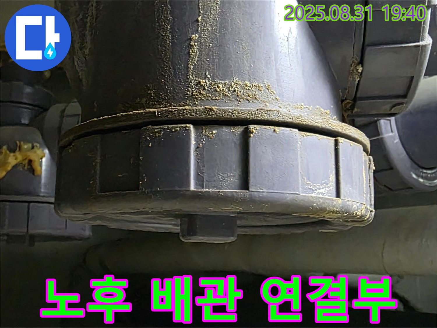분당 정자동 주택 누수 - 노후된 배관 연결부에서 누수 발생