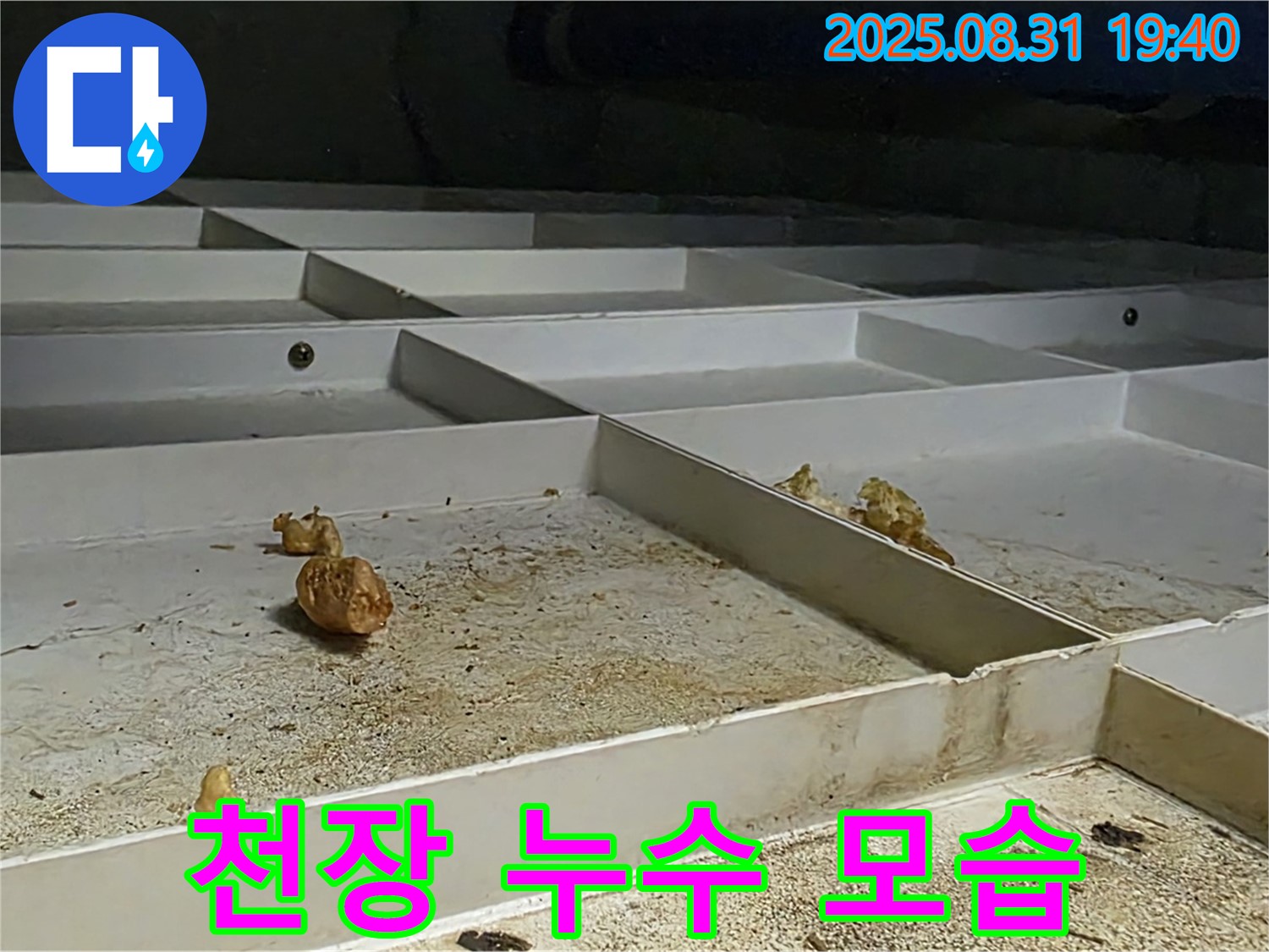 분당 천장 누수 모습 - 누수로 인해 손상된 천장 마감재