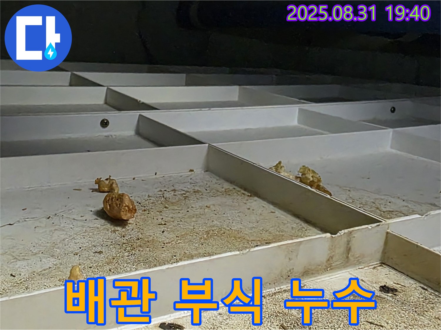 분당구 산운로 누수 - 배관 부식으로 인한 누수 문제 해결