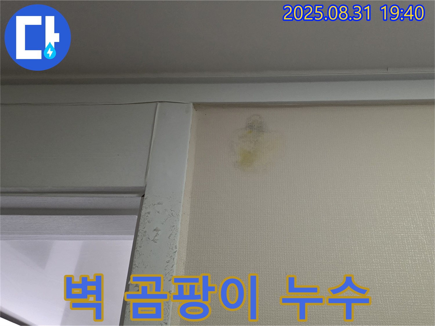 분당구 산운로 누수 - 벽에 핀 곰팡이, 누수 문제 심각