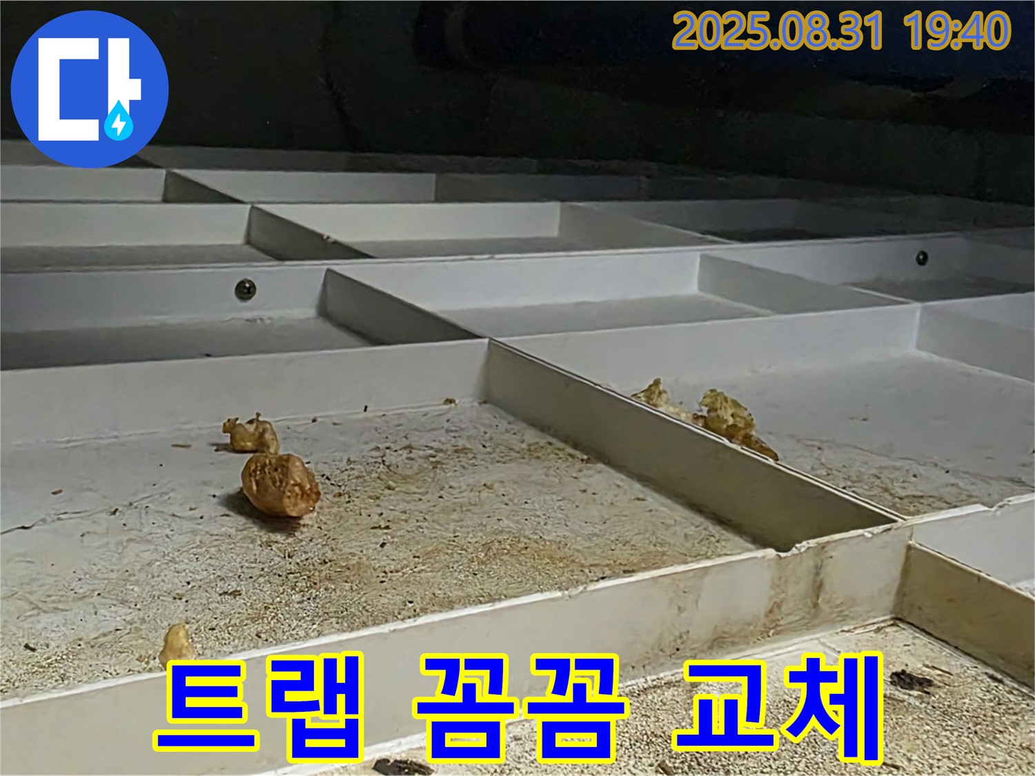분당구 산운로 누수 - 천장 배수 트랩 꼼꼼하게 교체 작업