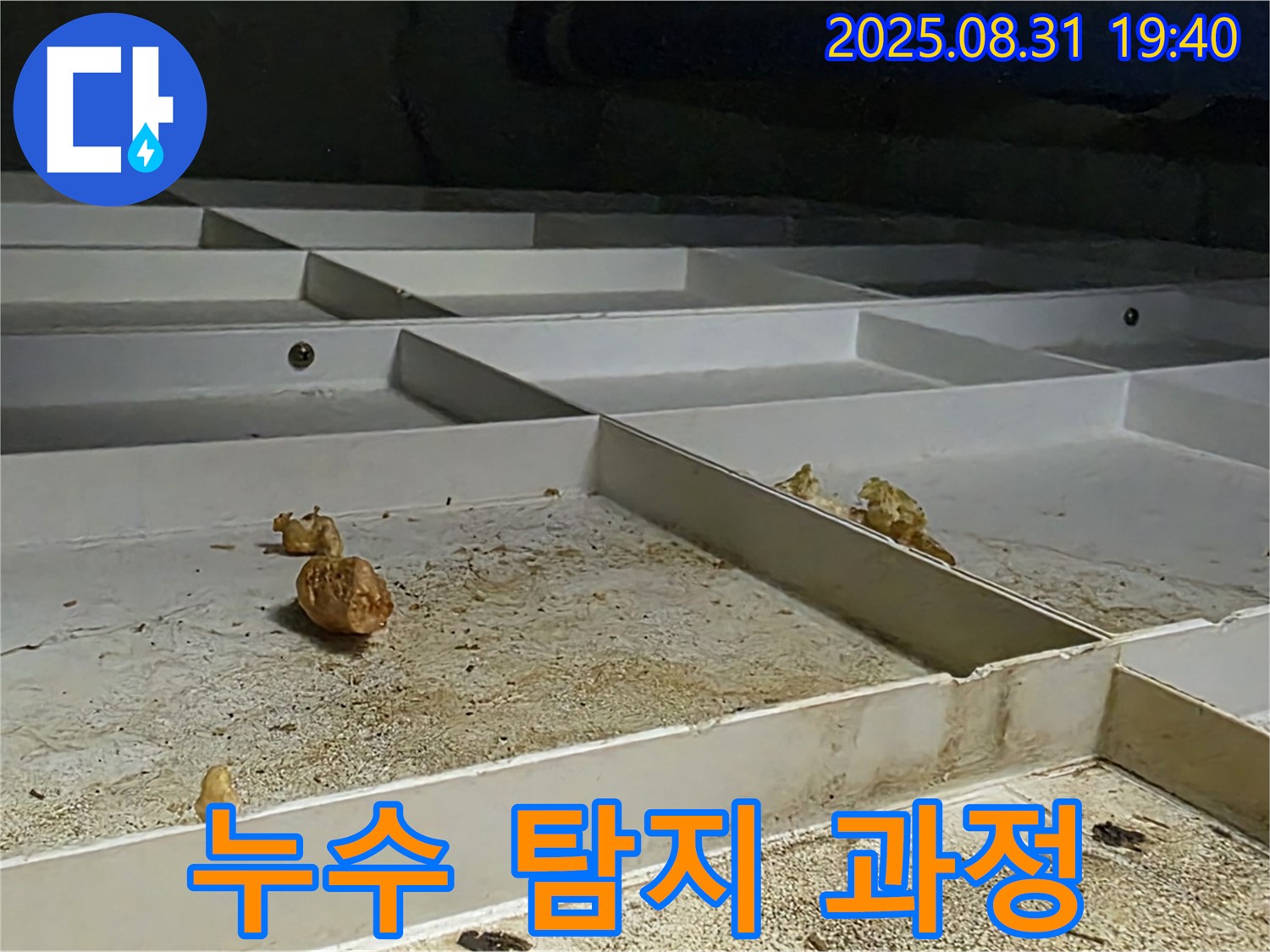 분당구 산운로 누수 탐지 과정 - 누수 지점을 찾기 위한 전문가의 노력