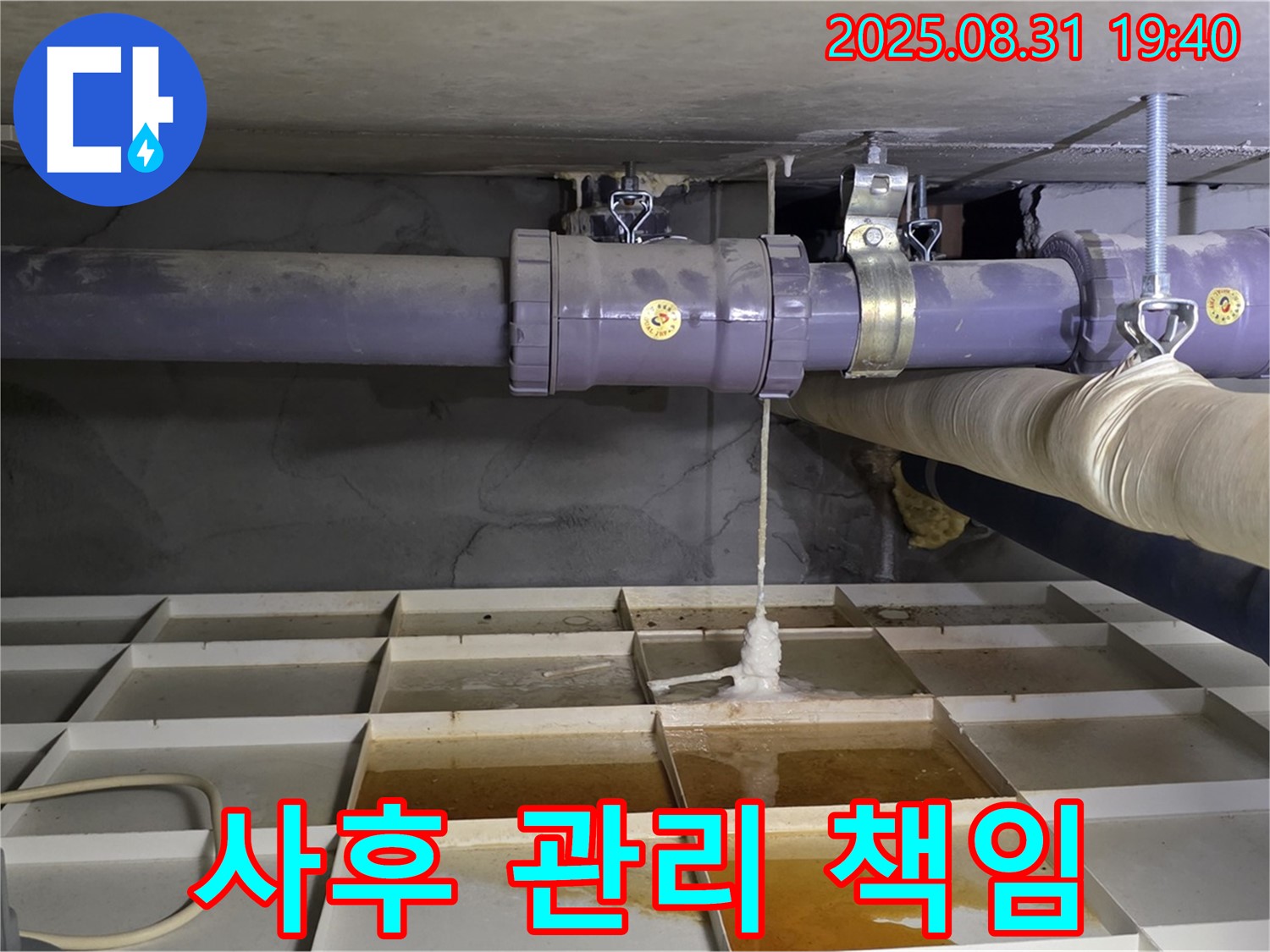 분당구 정자동 누수 - 누수 해결부터 철저한 사후 관리