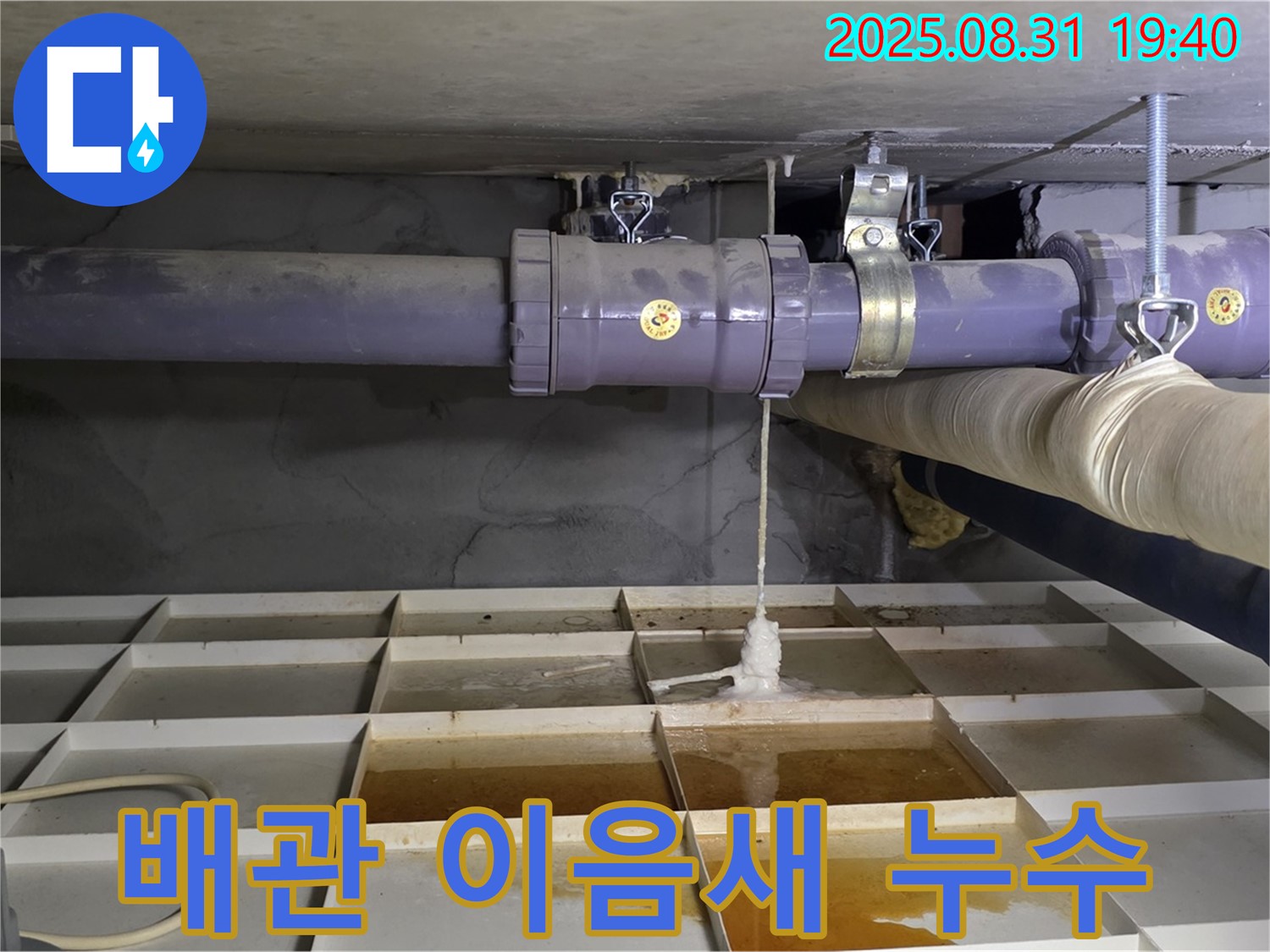 분당구 정자동 누수 - 배관 이음새의 작은 균열에서 누수 발생