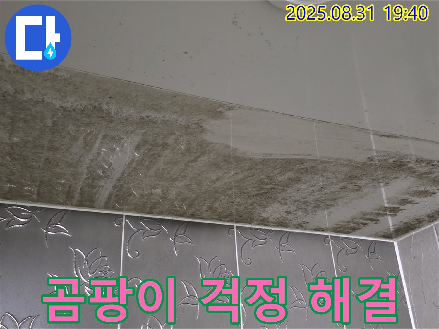 산운동 욕실 - 누수와 곰팡이, 이제 깨끗하게 해결!