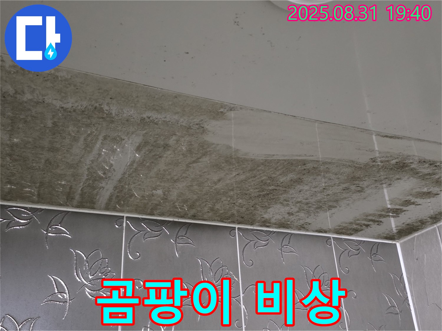 산운동 욕실 천장 - 곰팡이 뒤덮인 긴급 상황