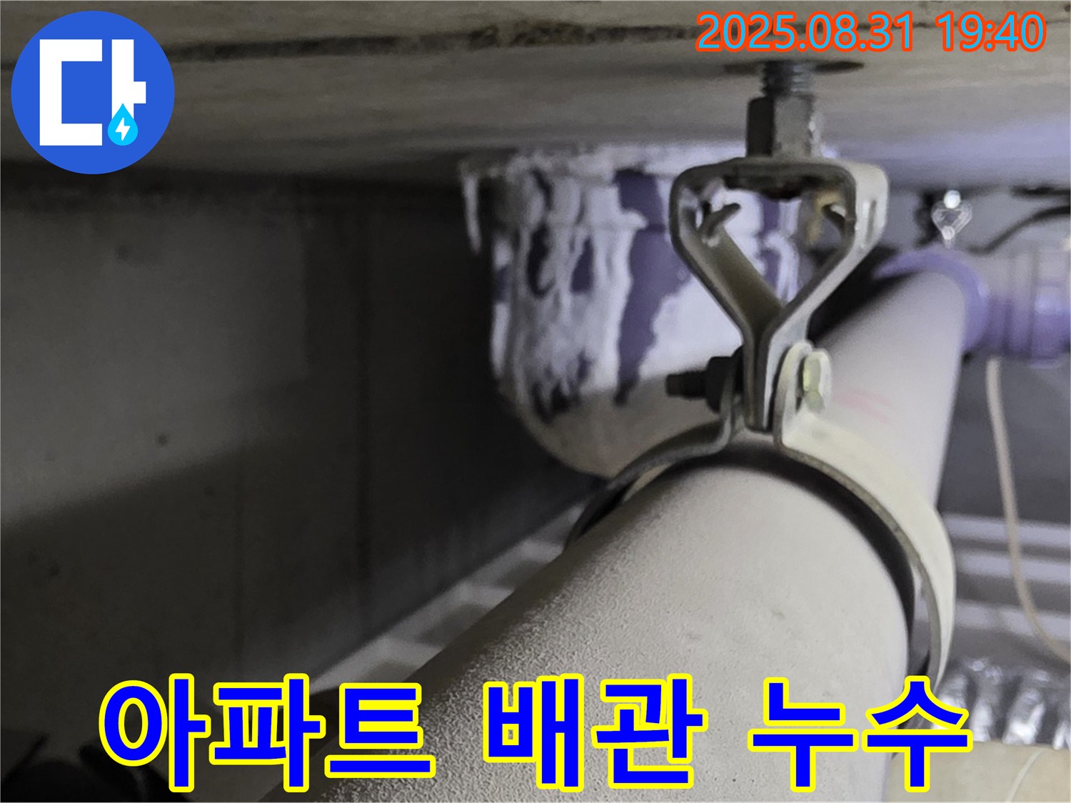 산운로 121 아파트 배관 누수 - 정밀 탐지 - 누수 지점 정확히 파악