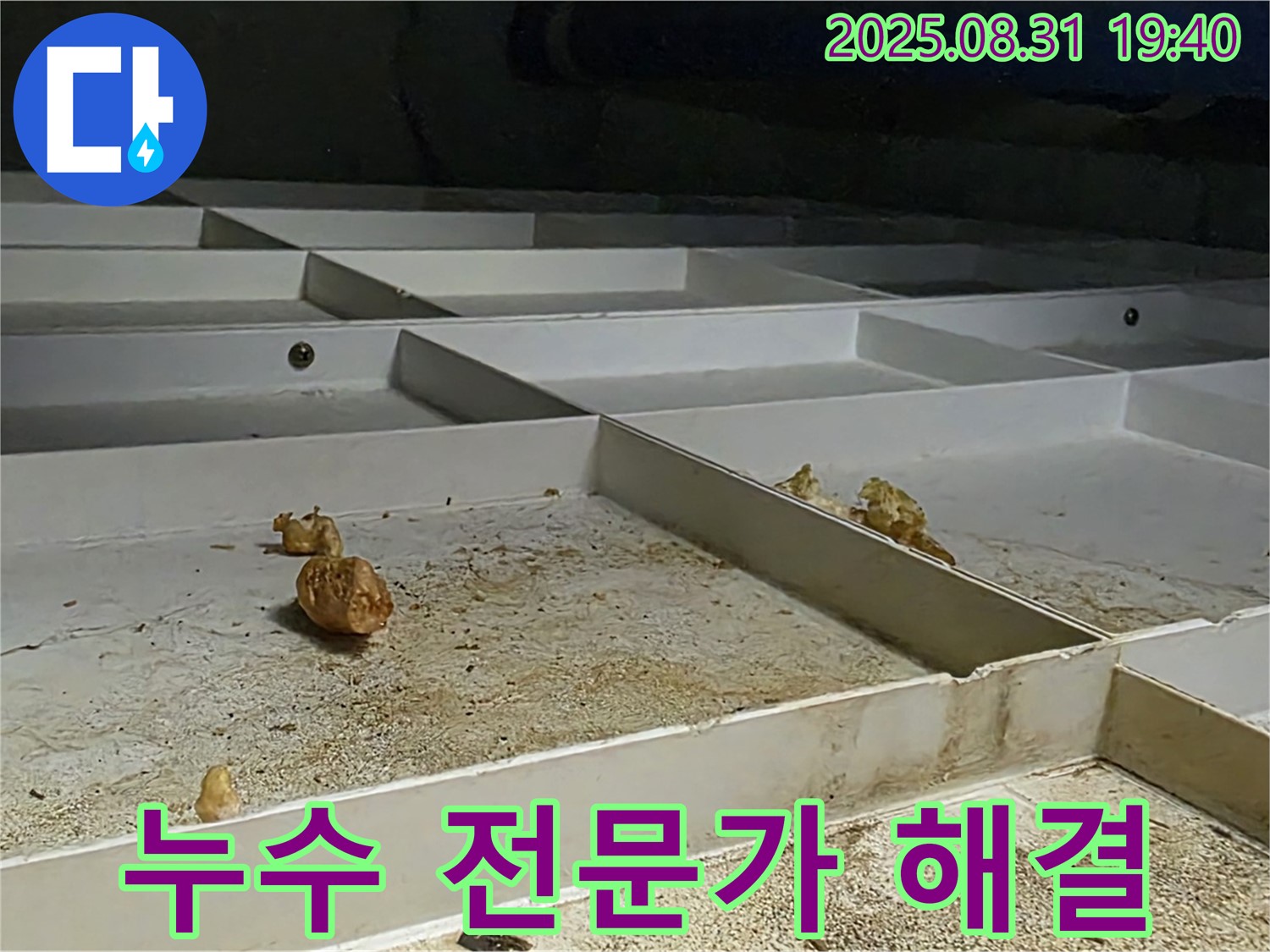 산운마을 누수 - 분당 누수 전문가의 확실한 해결 과정