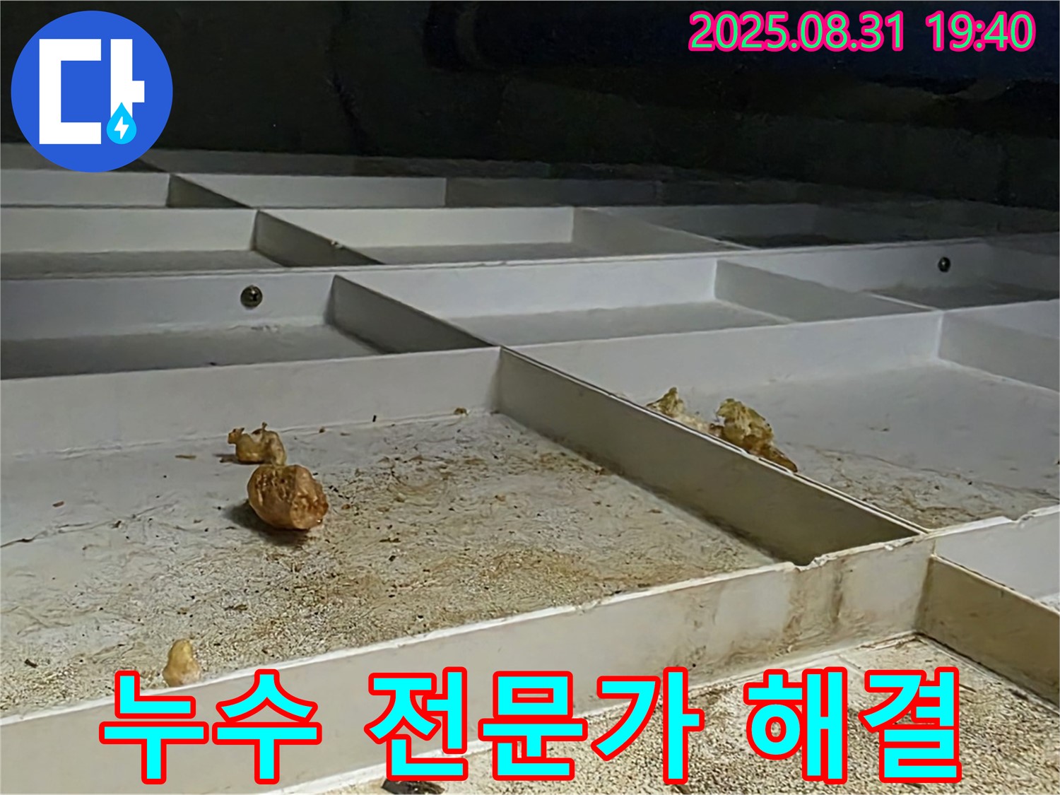 산운마을 누수 - 분당 누수 전문가의 확실한 해결 과정
