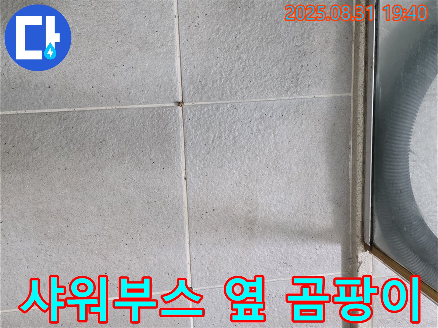 샤워부스 옆 곰팡이 - 누수와 곰팡이, 한 번에 해결!