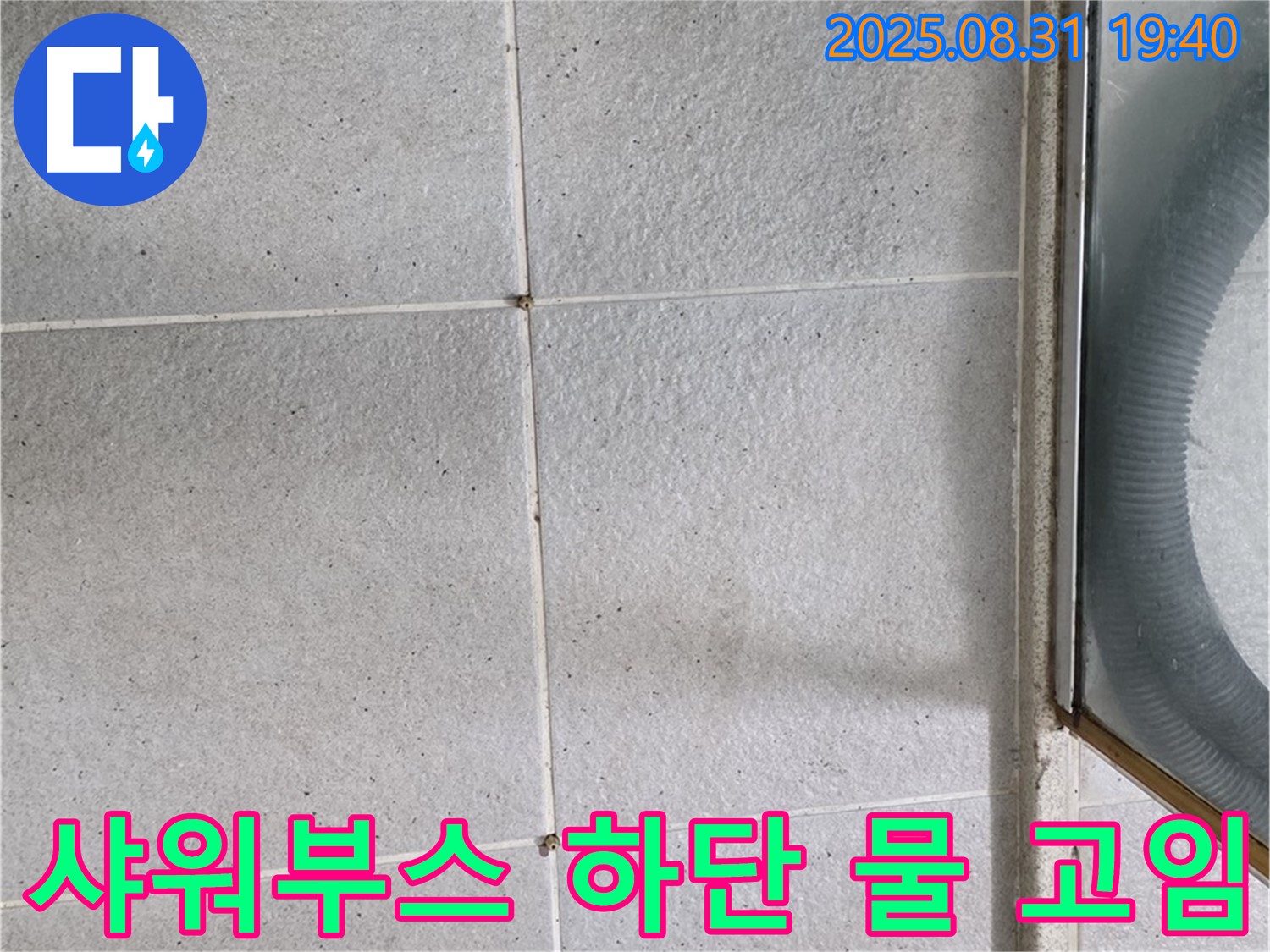 샤워부스 하단 물 고임 - 타일 누수 의심, 전문가에게 문의하세요!