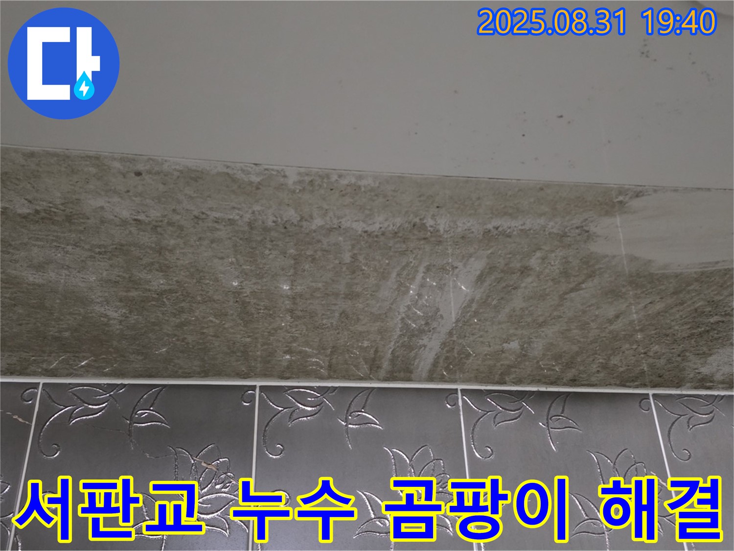 서판교 누수 - 욕실 천장 곰팡이 해결 과정을 담은 사진입니다