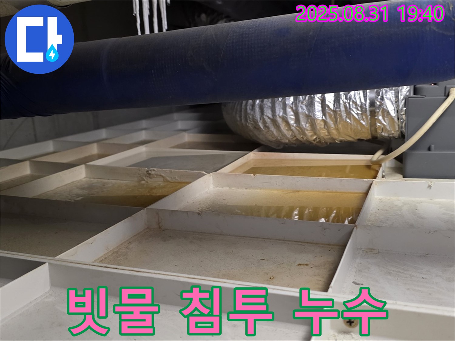성남 분당 금곡동 건물 옥상 누수 - 빗물 침투로 인한 누수 발생