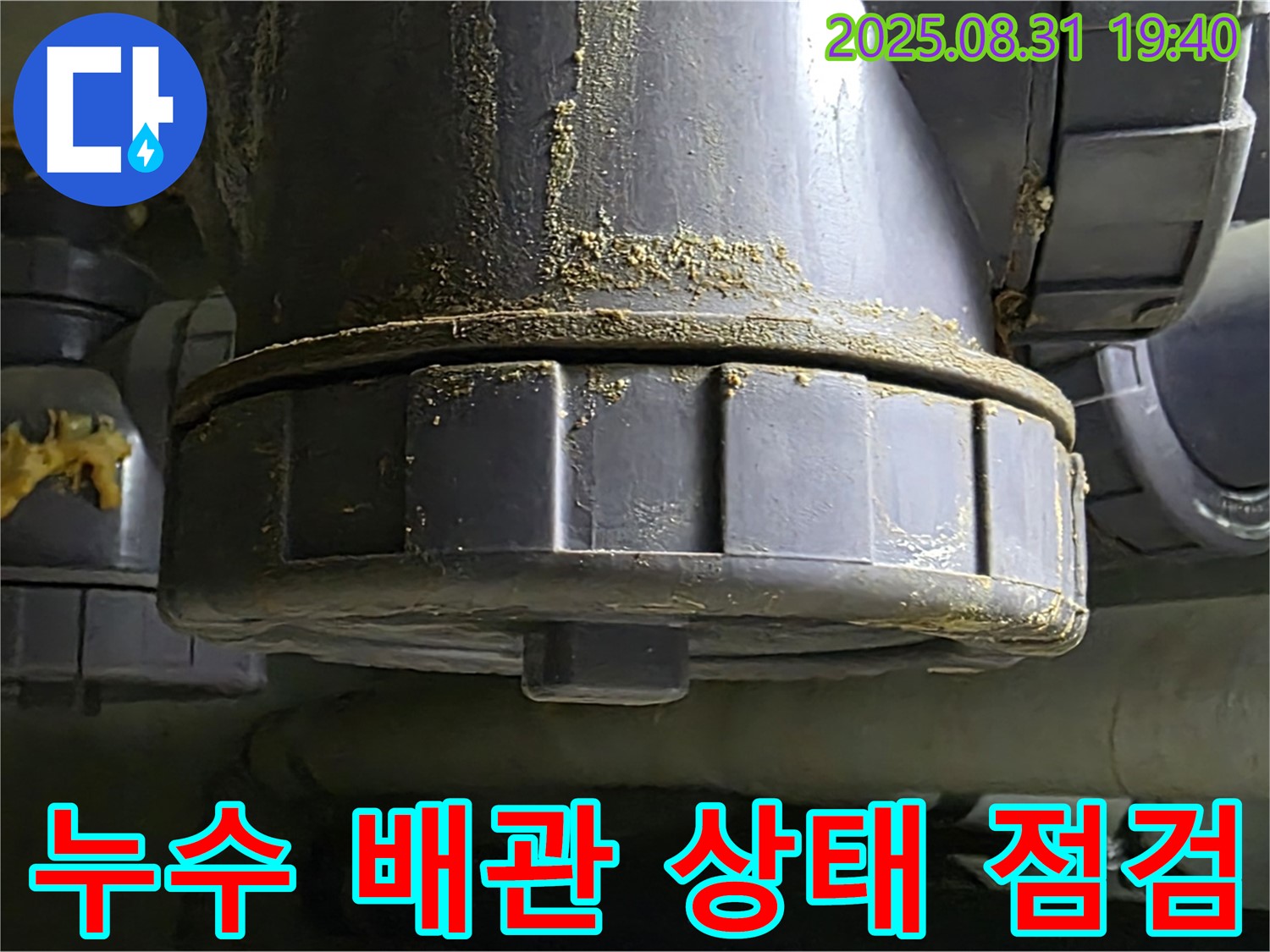 성남 분당 산운로 누수 - 누수된 배관의 상태를 꼼꼼하게 점검