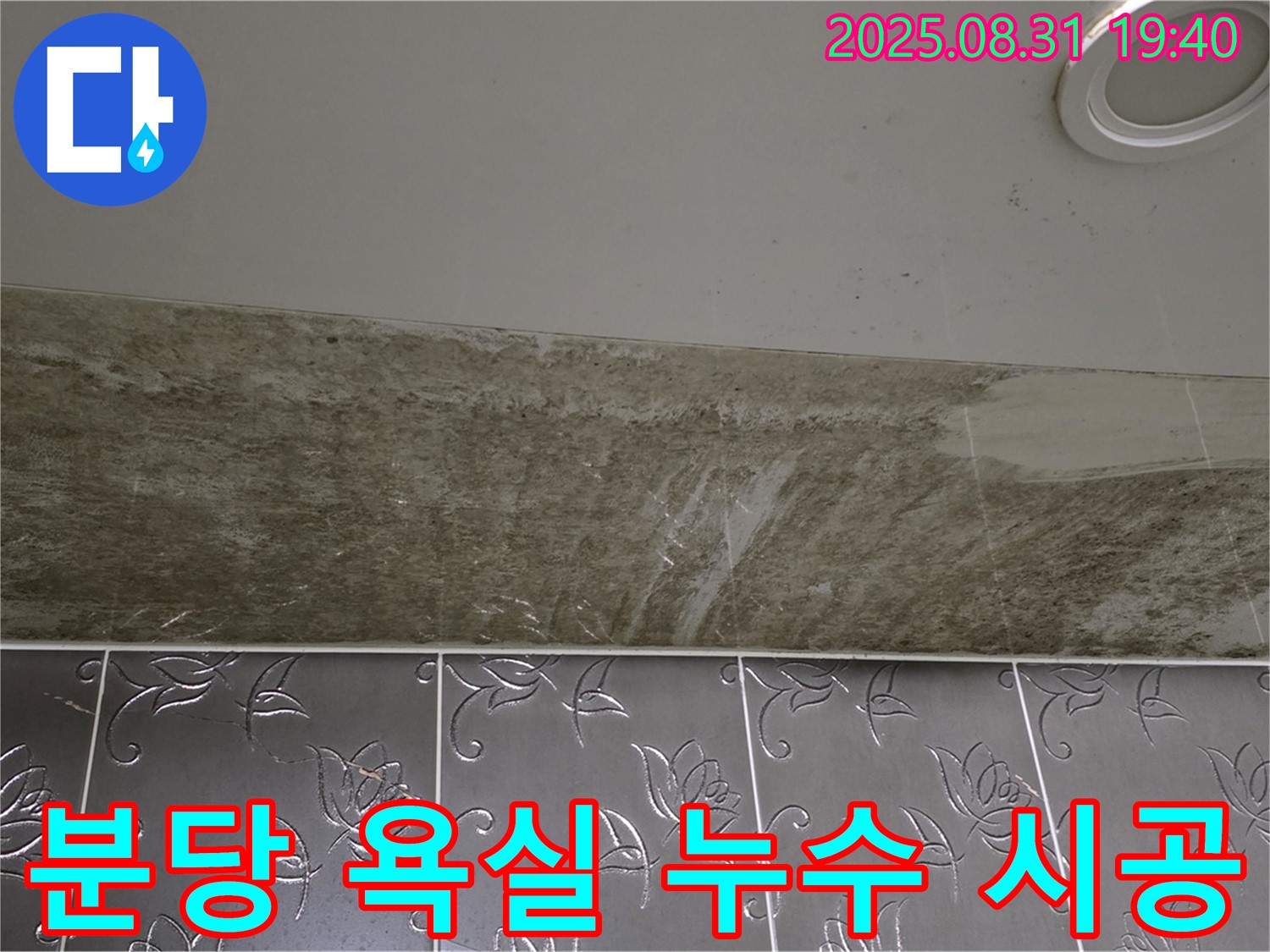 성남 분당 욕실 천장 누수 해결 - 완벽한 시공으로 고객 만족