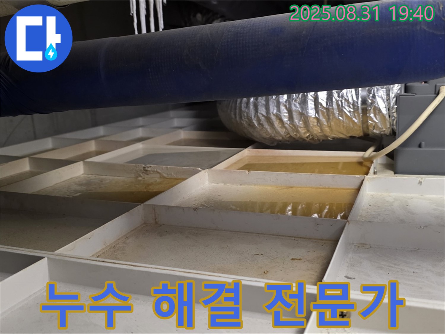성남 분당 정자동 건물 누수 - 누수 해결 전문가가 책임지고 해결합니다!