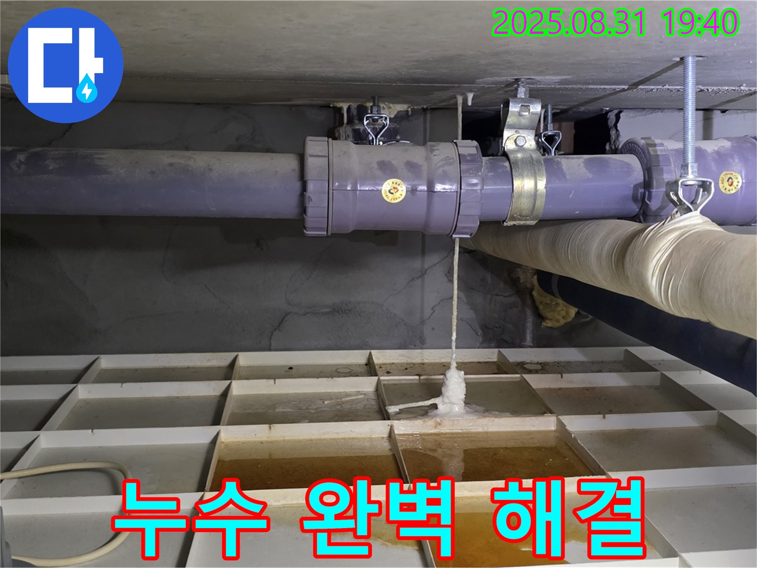 성남 분당구 정자동 누수 - 누수 문제 완벽하게 해결!