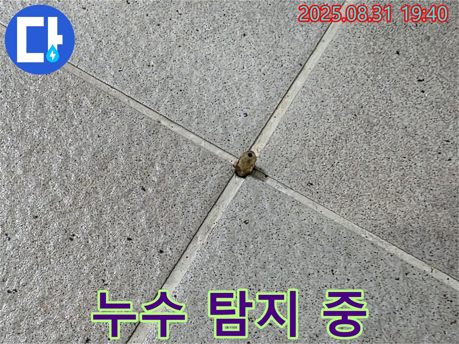 성남시 분당 누수 - 누수 탐지 전문가가 꼼꼼하게 누수 지점을 찾고 있습니다.