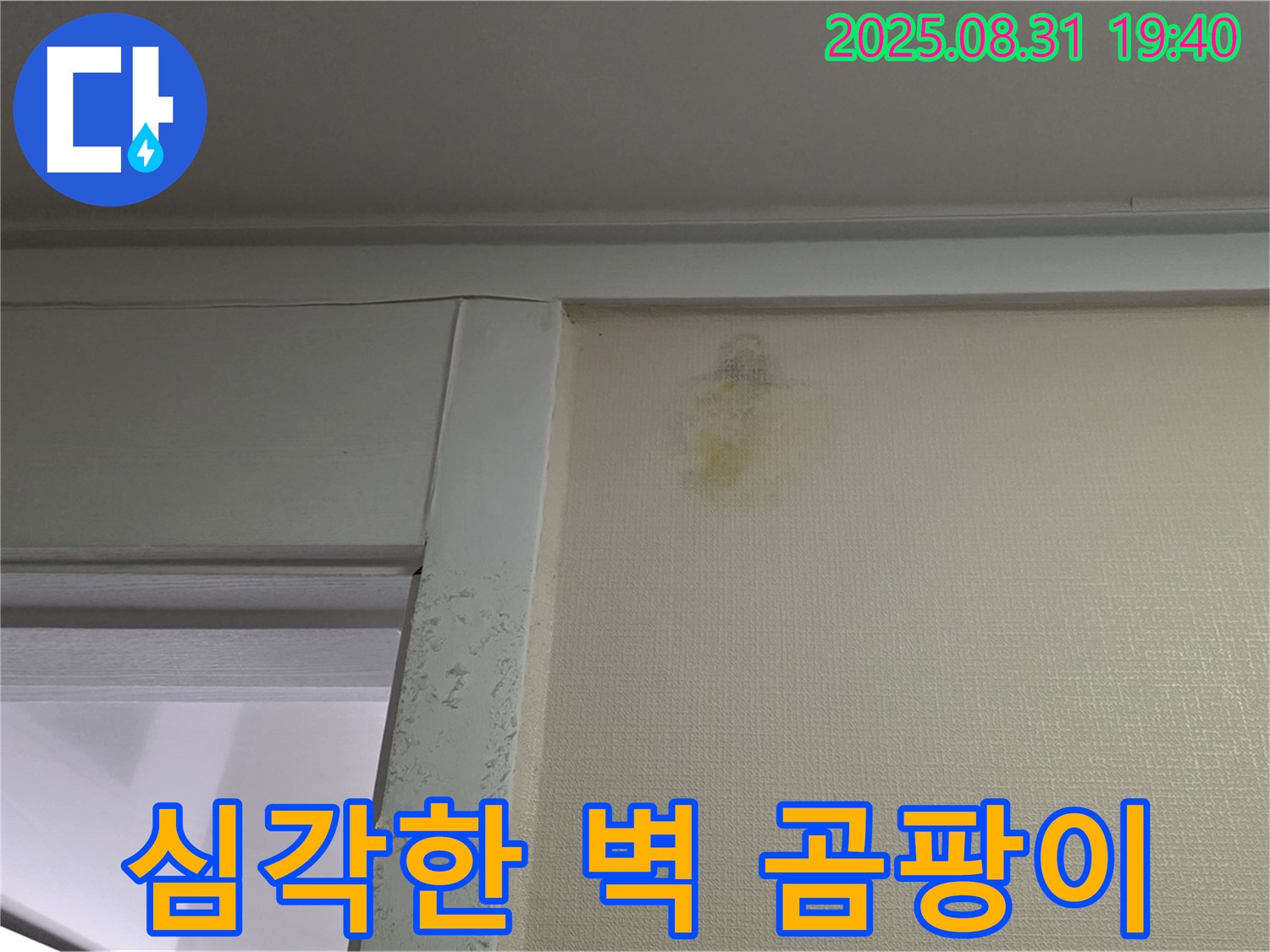 심각한 벽 곰팡이 - 분당구 산운로 누수탐지 - 곰팡이 제거